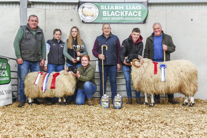Powerful ram lamb tops Sliabh Liag sale