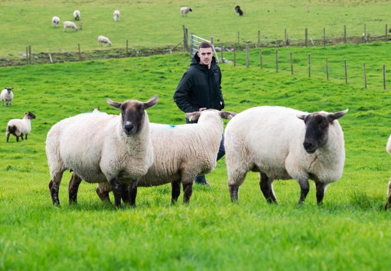My Farming Week: Brandon McClafferty, Dough Beg, Co Donegal