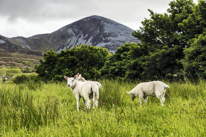 €15m to be repaid by 8,700 ACRES farmers