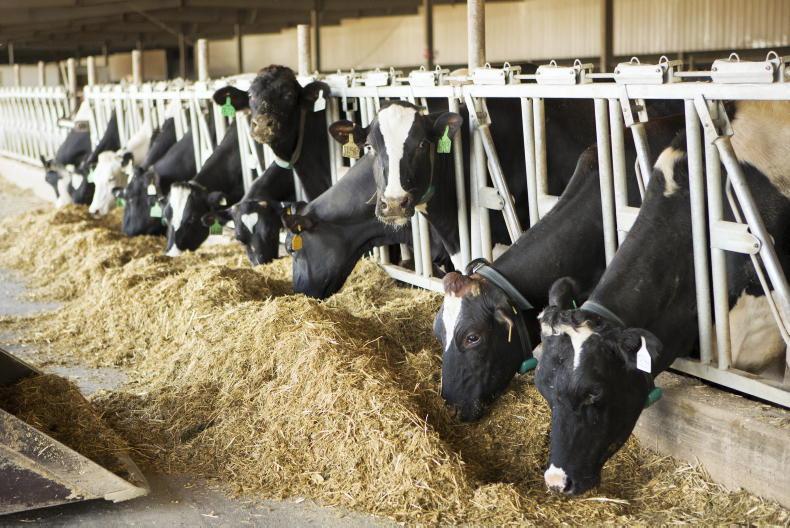 Dairy Management: how to keep the milk flowing this autumn