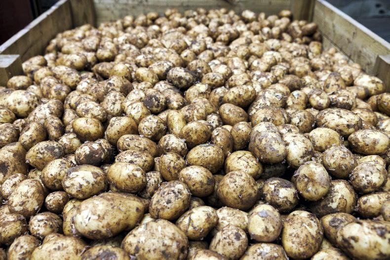 Commission bans herbicide for use on potato crops 