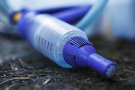 Addressing parasite burdens in youngstock Addressing parasite burdens in youngstock