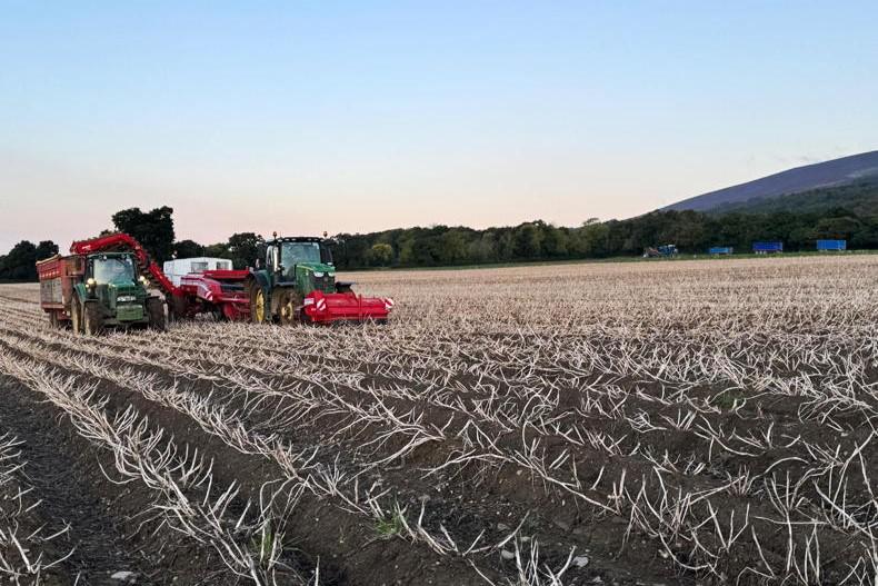 Fieldwork stops as early crops emerge