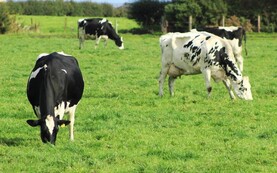 Grazed forage most resilient to market volatility Grazed forage most resilient to market volatility