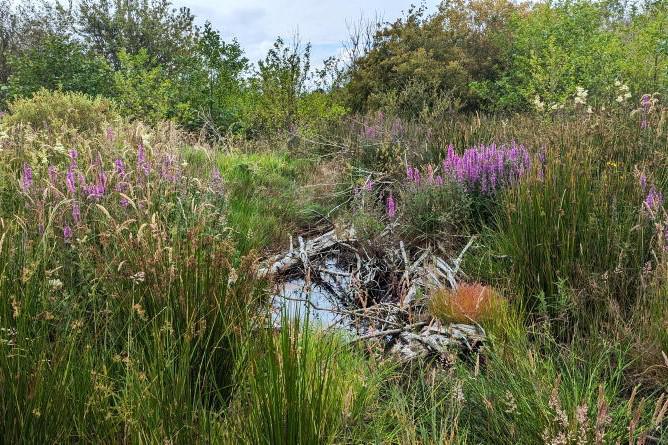 Farm Plan Scheme open for applications