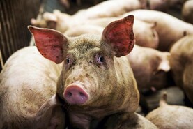 Dealing with empty days and missed opportunities Dealing with empty days and missed opportunities