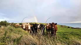 Farmer Writes: tough spring forces changes to the system Farmer Writes: tough spring forces changes to the system