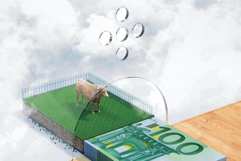 Money Mentor: who should be named on a loan for land purchase? 