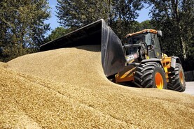 Reaching net zero 'won't be cheap’ for feed prices Reaching net zero 'won't be cheap’ for feed prices