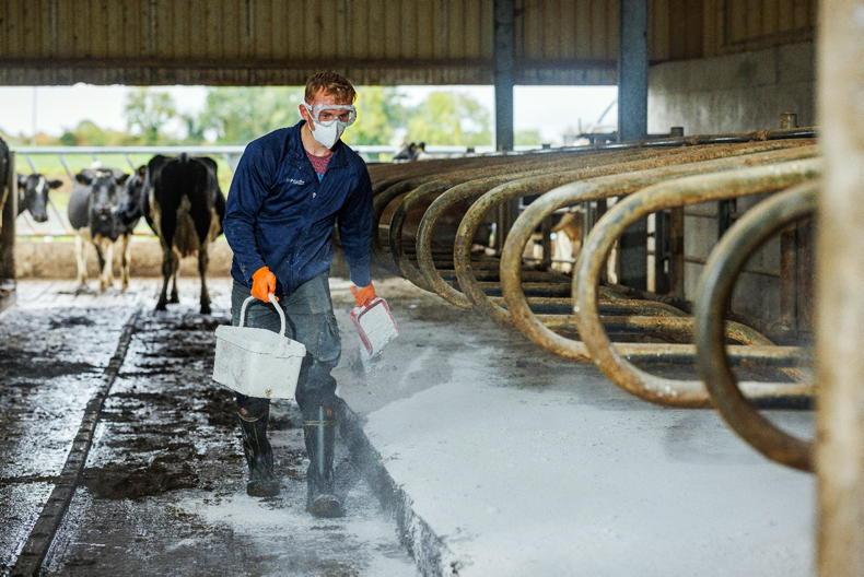 Bennettsbridge Limestone’s Cubicle Lime: boosting cow comfort and milk yield 