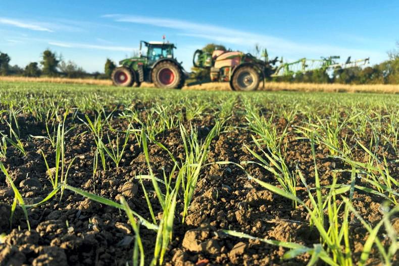 Promising autumn eases the strain of a challenging year
