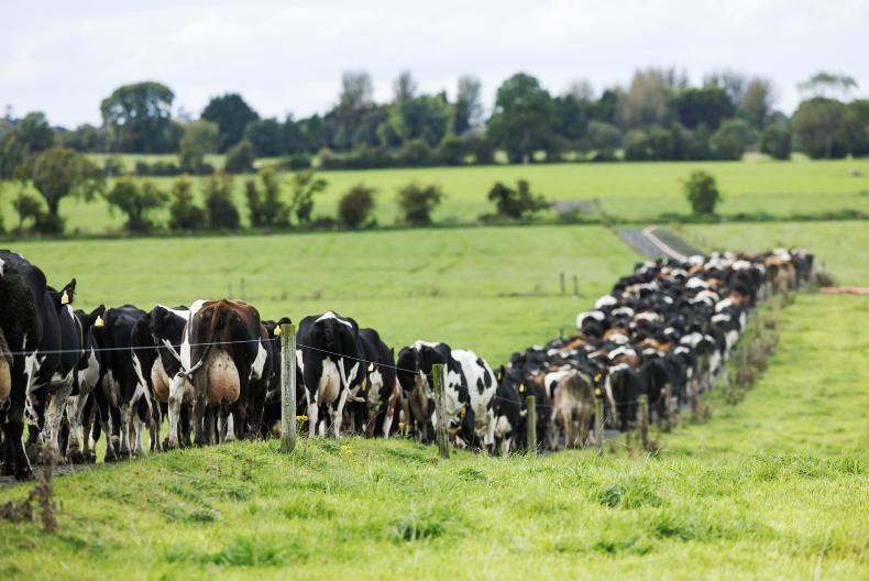 Views sought on measures in nitrates action programme