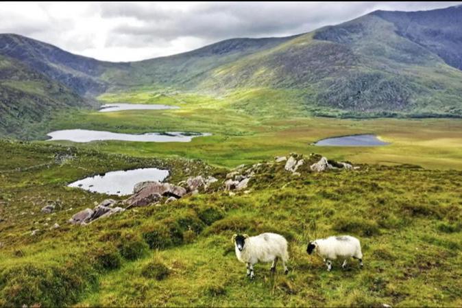 Views sought on national park that includes Conor Pass