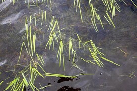 Torrential rain wreaks havoc on Spanish farms Torrential rain wreaks havoc on Spanish farms