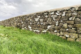 The Grass Week: to graze or not to graze The Grass Week: to graze or not to graze