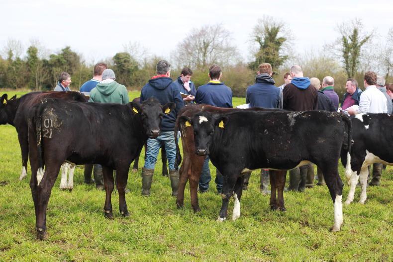 Schemes update: young farmers scheme payments announced for 2024
