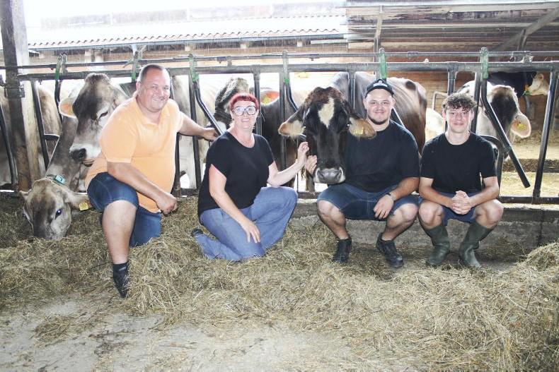 Dairy, beef and dual-purpose donkeys