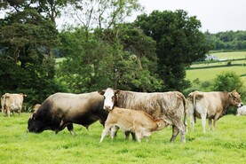 Getting through the first SBLAS audit Getting through the first SBLAS audit