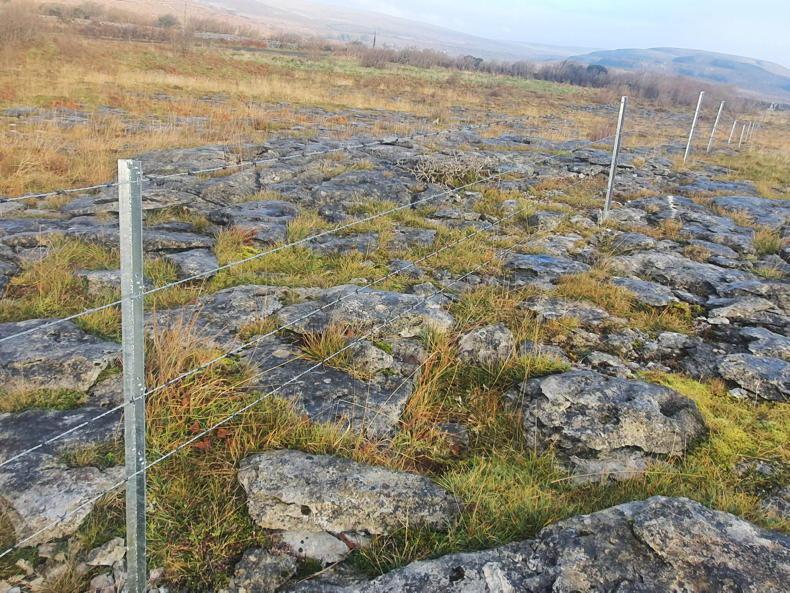 Gates and owl/kestrel boxes most common NPI applications