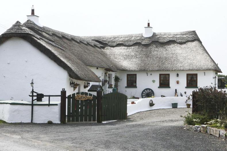 New thatching course launched by the Heritage Council 