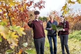 Sustained yield key to continuity in forest management Sustained yield key to continuity in forest management