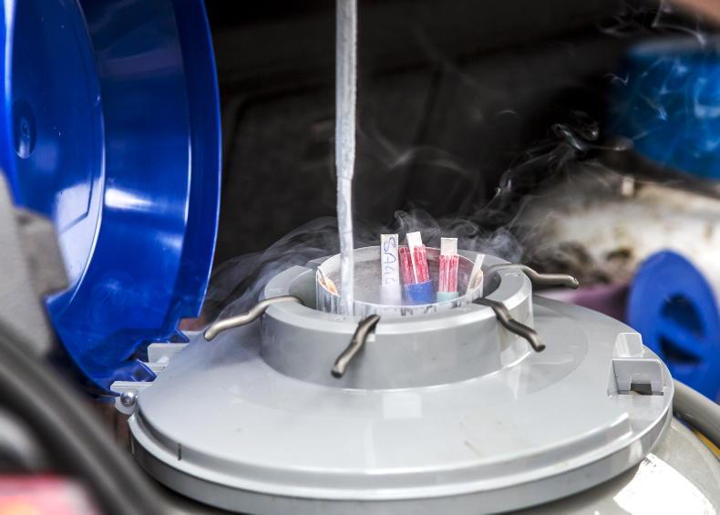 Sexed semen use set to grow further 