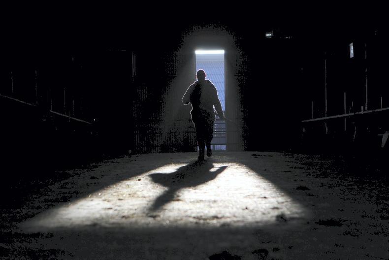 Life Focus: the 'farmers helping farmers' by listening