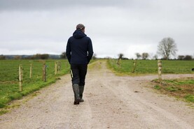 HSA inspection campaign to focus on farmer health and wellbeing HSA inspection campaign to focus on farmer health and wellbeing