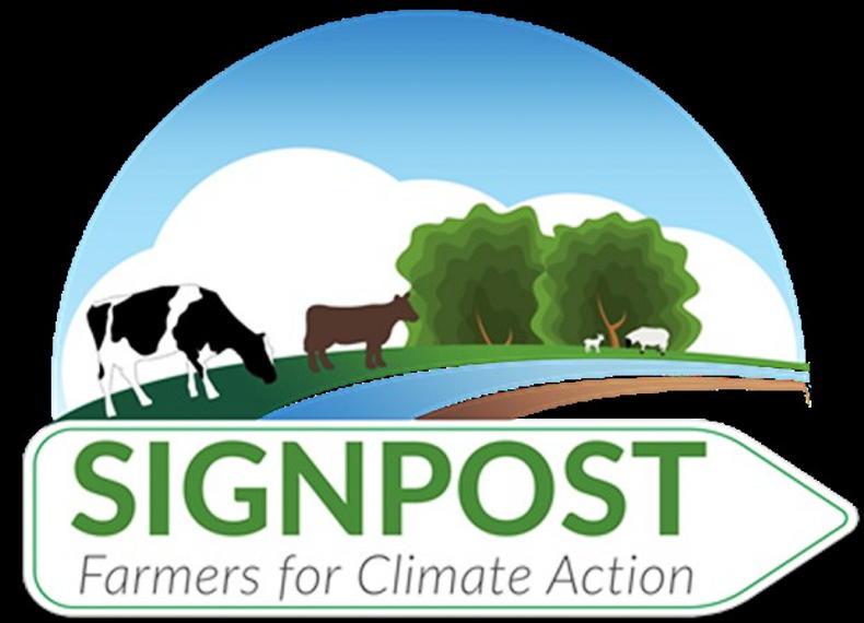 Meet the sustainability winners