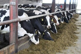 GDT index rises to a 28-month high GDT index rises to a 28-month high