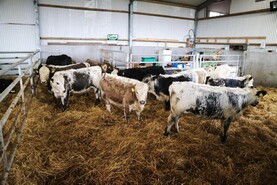 Organic feed demand surpasses 50,000t Organic feed demand surpasses 50,000t