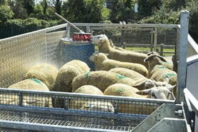 Schemes and payments in-brief Schemes and payments in-brief