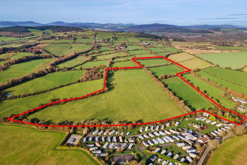 Top quality glassland up for auction