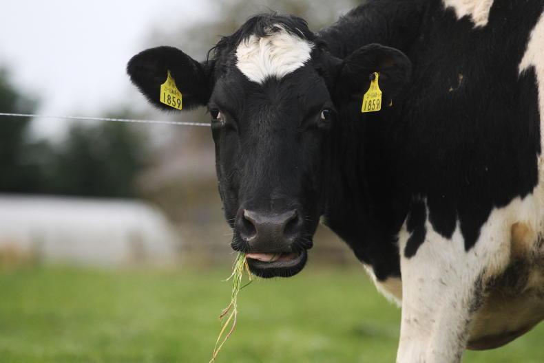 Methane emissions being over-estimated by 9% - Teagasc 