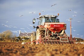 Winter cereal area estimated up almost 27,000ha Winter cereal area estimated up almost 27,000ha