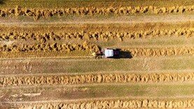 Editorial: Mercosur - the Italian king-maker deal? Editorial: Mercosur - the Italian king-maker deal?