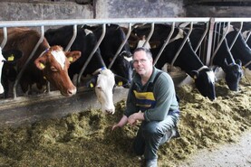 Crossbreeding delivers 35% increase in milk output Crossbreeding delivers 35% increase in milk output