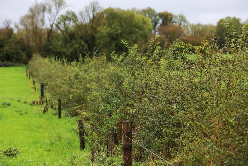 Quantifying habitats and carbon stored on Signpost Farms