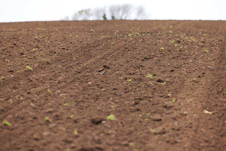 Woulfe looks for a great leap forward in soil nutrition 