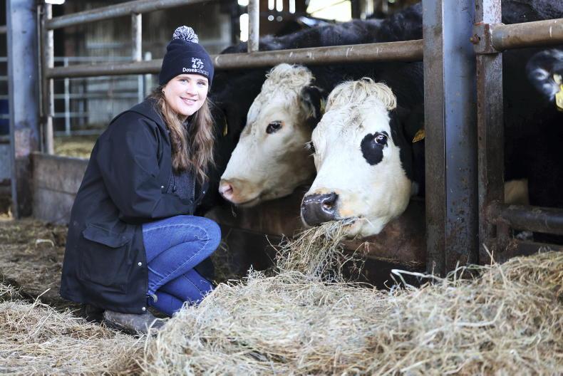 My Farming Week: Aoife Sutton, Ballinakill, Roscrea, Co Tipperary 