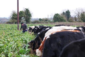 Tillage Management: calendar dates to remember Tillage Management: calendar dates to remember