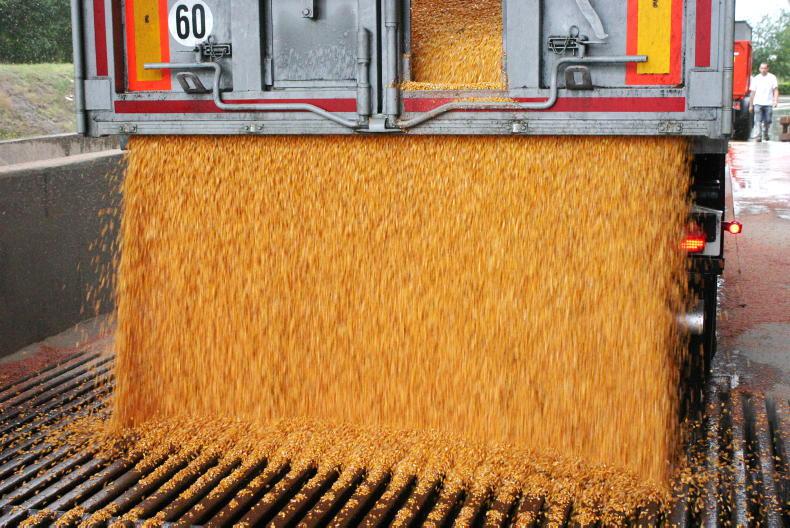 Grain Trends: international markets drop this week