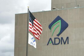 Visiting one of the largest mills in the world Visiting one of the largest mills in the world