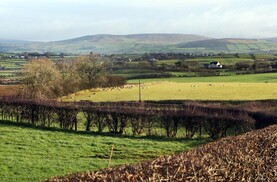 Experts offer solutions to inheritance tax row Experts offer solutions to inheritance tax row