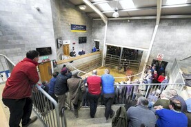 Spotlight on farm planning in Carnew Spotlight on farm planning in Carnew