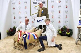 Jackson takes three in a row at the royal Ulster lamb championship Jackson takes three in a row at the royal Ulster lamb championship