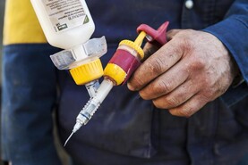 Clare farms worst hit by blackleg this year Clare farms worst hit by blackleg this year