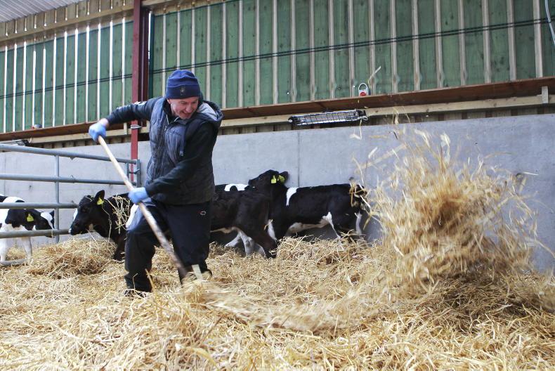 Utilising bedding wisely this winter