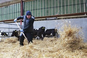 Utilising bedding wisely this winter Utilising bedding wisely this winter