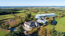 Step forth into luxury with this premier stud farm Step forth into luxury with this premier stud farm